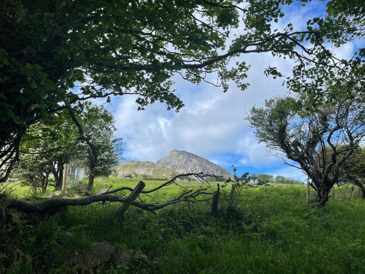فيلا Mynydd A Mor Trevor المظهر الخارجي الصورة